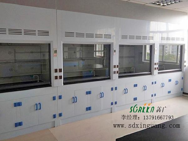 實驗室PP通風柜