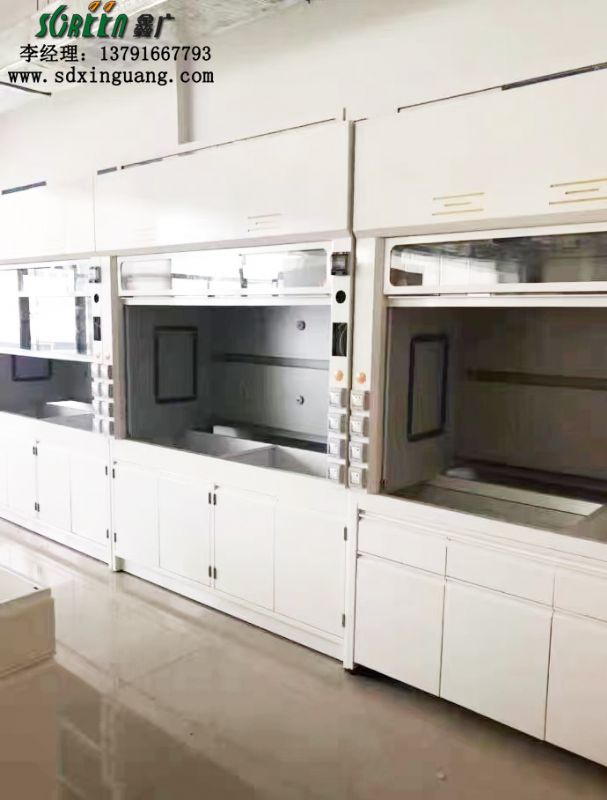 實(shí)驗(yàn)室PP通風(fēng)柜