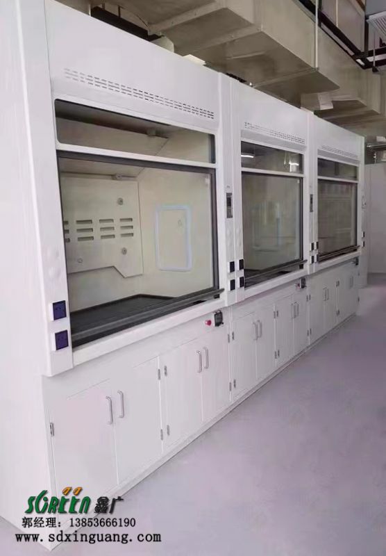 濰坊實驗室PP通風櫥柜