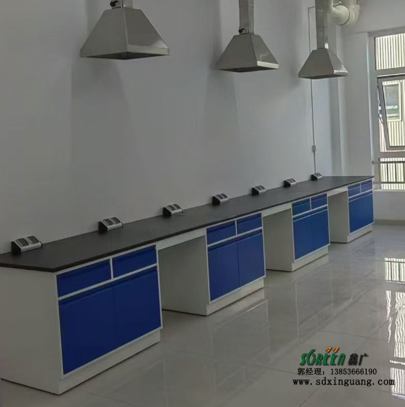 實驗室建設(shè)