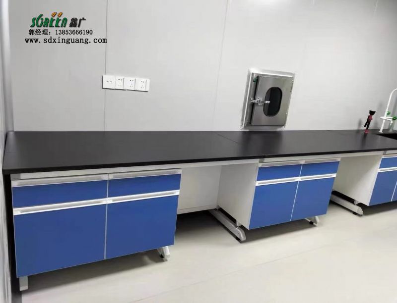 山東東營實驗室家具鋼木試驗臺通風(fēng)柜定制