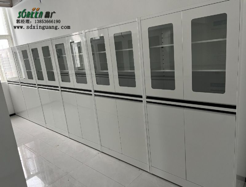 濰坊全鋼試劑柜實(shí)驗(yàn)室器皿柜儲(chǔ)存柜供應(yīng)