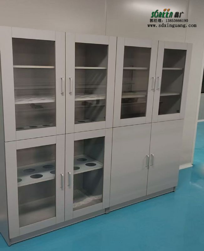 山東實(shí)驗(yàn)室器皿柜試劑柜存儲(chǔ)柜雙鎖廠家