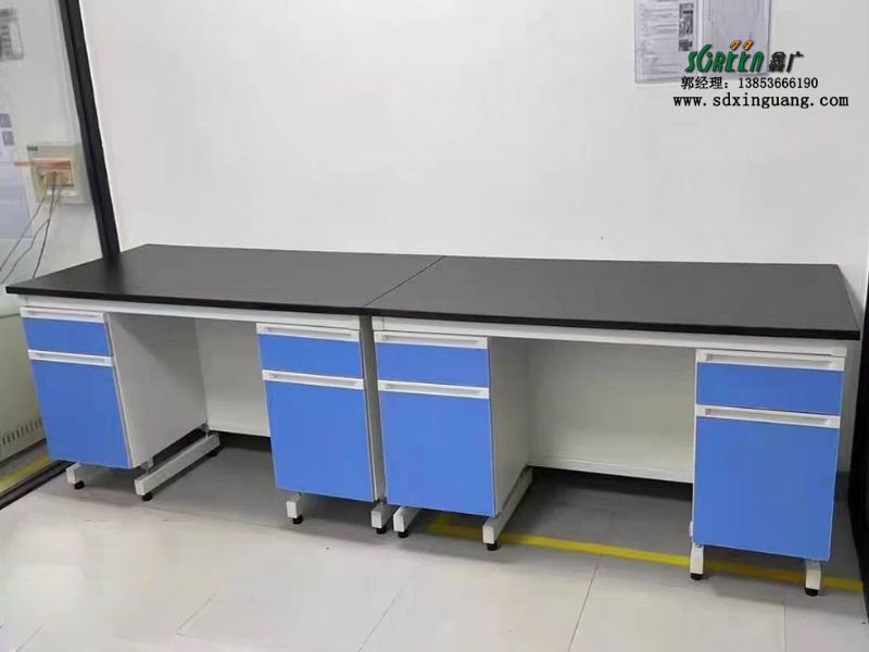 山東實驗臺試驗室工作臺實驗室水槽臺鋼木實驗臺