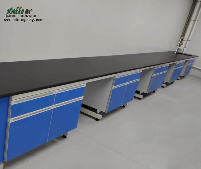 實驗室建設(shè)