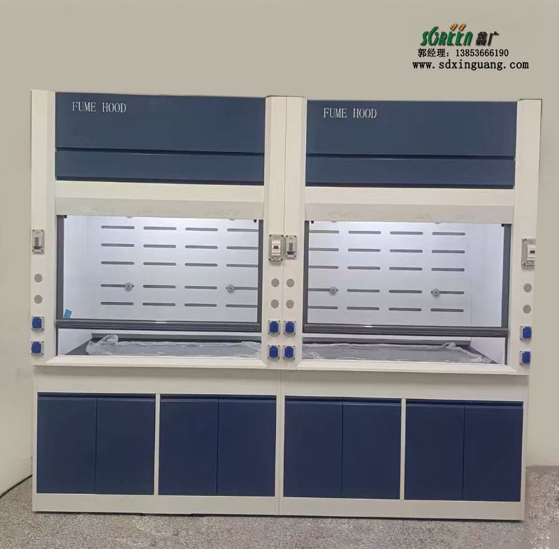 山東實驗室家具全鋼通風(fēng)柜PP通風(fēng)櫥廠家供應(yīng)