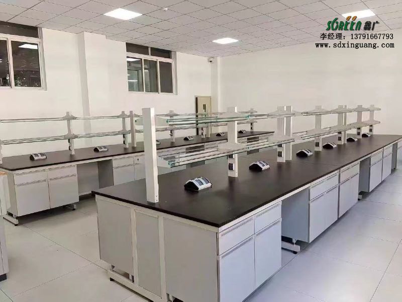 山東實驗室設備全鋼實驗臺通風柜生產廠家