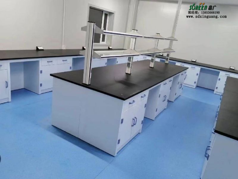 山東實驗室設備化驗室邊臺PP實驗臺通風柜廠家