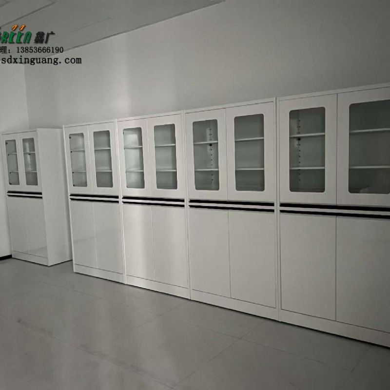 山東試劑柜廠家 實驗室全鋼器皿柜儲物柜 加工定制