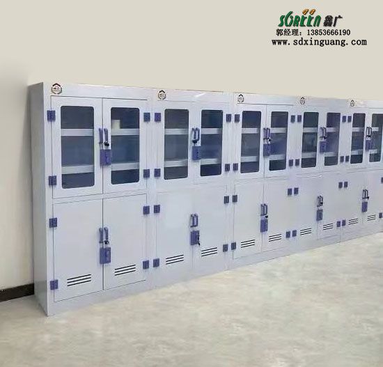 山東實(shí)驗(yàn)室pp試劑柜實(shí)驗(yàn)室耐酸堿試劑存放柜