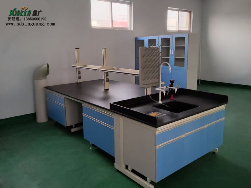 青島鋼木實驗臺實驗室工作臺防酸堿試驗臺 可定制